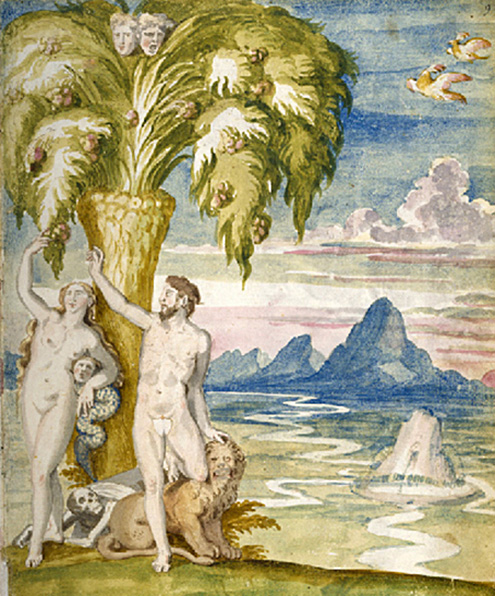 plate 7